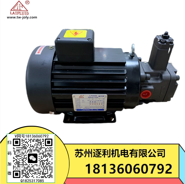 LAIFLUID三相異步電動機全銅380V電機馬達液壓油泵變量葉片泵VP20 30 7S